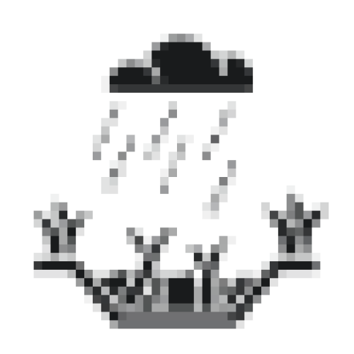 Rain Water  Harvesting